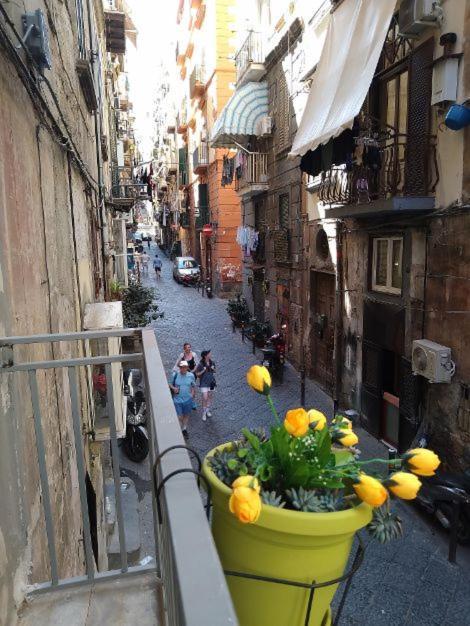 La Conchiglia Napoli Nápoles Exterior foto
